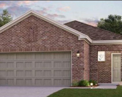12272 Lady Eli Drive, Willis