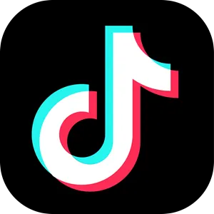 TIKTOK logo
