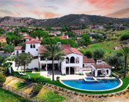 20 Black Falcon, Irvine image