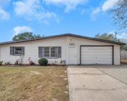 11851 Pine Forest Drive, New Port Richey image