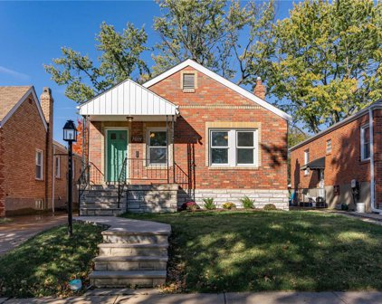 7019 Plainview  Avenue, St Louis