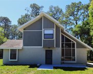 2449 E Lake Drive, Deland image