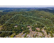 N Laurel Unit #203, Coquille image