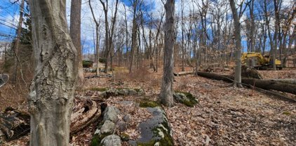 44 Shongum Rd, Denville Twp.