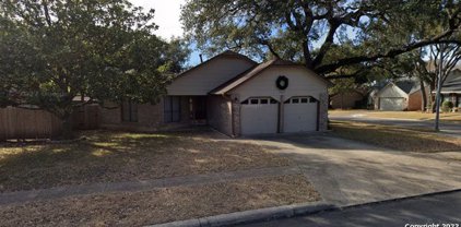 11205 Woodridge Forest, San Antonio