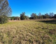 Ocilla-Lot #99 Loop, Clermont image