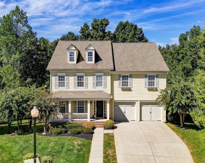 13032 Palermo  Court, Fort Mill