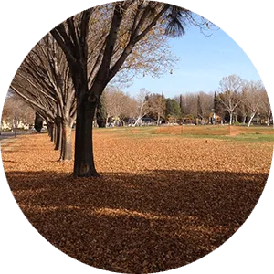North San Jose Homes for Sale