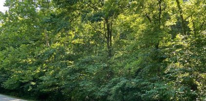 19261 Saint Albans Forest  Lane, Wildwood