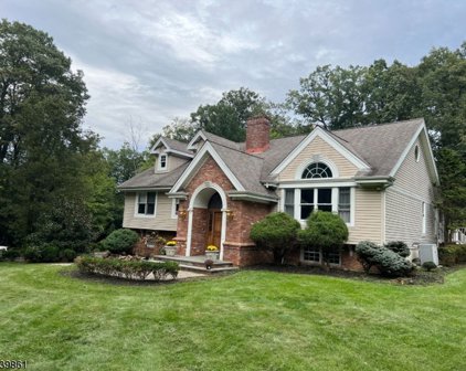 10 Rockage Rd, Warren Twp.