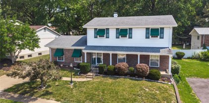 8848 Forest Heights  Drive, Affton