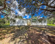 8351 Ne 106th Street, Bronson image