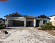 4112 Savanna Palms Court, Bradenton image