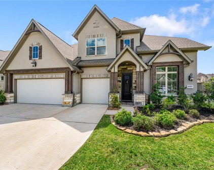 16911 Deep Falls Drive, Cypress