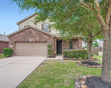 22215 Grand Terrane Lane, Katy