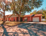 12514 Brucie Place, Tampa image