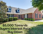 1610 Solitude Ct, Spring Hill image
