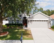 23803 Hastings Way, Land O' Lakes image