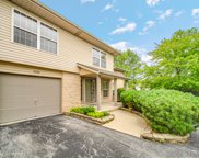 9290 Meadowview Drive, Orland Hills image