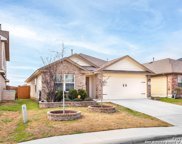 14016 Shivers Cove, San Antonio image