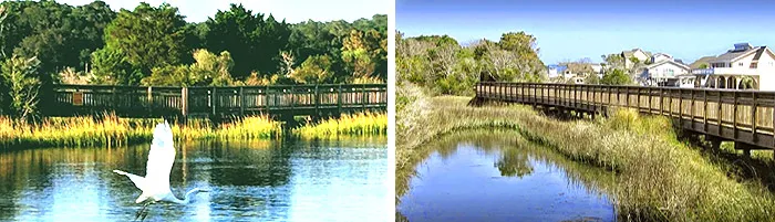Views at Cottages on the Marsh in Cherry Grove Beach