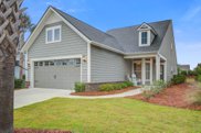 541 Willow View Way, Summerville image