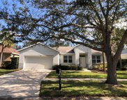 11714 Holly Creek Drive, Riverview image