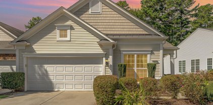 1041 Sweetleaf  Drive, Indian Land