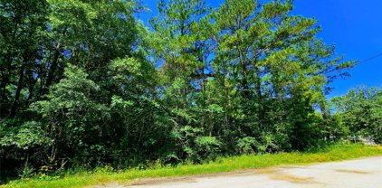TBD Lot 115 Brackenridge, Livingston