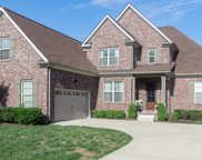 713 Rain Meadow Ct, Spring Hill image
