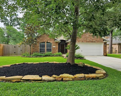 12323 Longfellow Drive, Montgomery