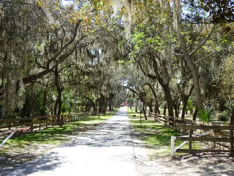 Gemini Springs Debary FL