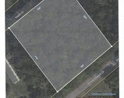 Ponderosa Road, Summerville image
