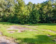 Johns Island image