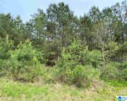 499 Cherrywood Way Unit 72, Odenville image