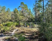 451 Volusian Forest Trail, Pierson image