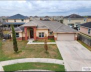 4032 Alamo Trail, Brownsville image