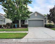 2310 Barracuda Court, Holiday image