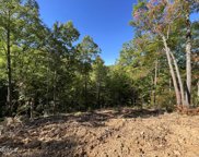 Caney Creek Lot 5, Pigeon Forge image