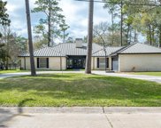 13207 Mission Valley Drive, Houston image