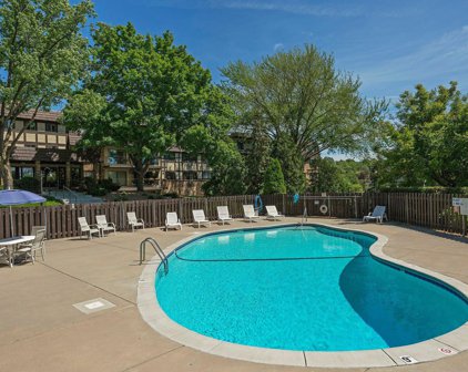 205 Barry Avenue S Unit #309, Wayzata