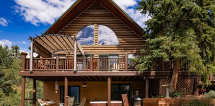 194 Wapiti Way, Basalt