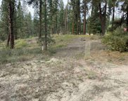 TBD Bull Pine, Idaho City image