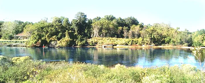 Scenery in Palmetto Harbour