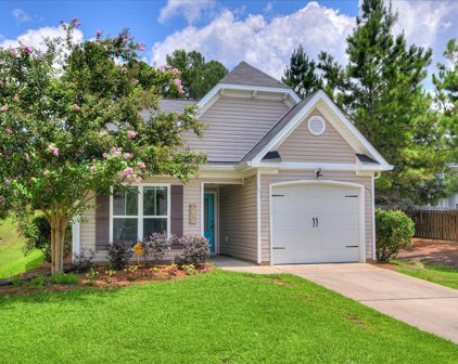 3463 CONIFER TRAIL, Evans