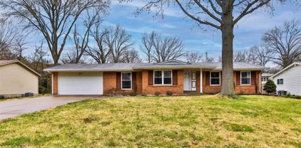 1047 Wappapello  Lane, St Louis