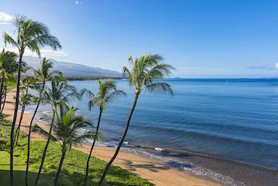 Palm trees and a beach | Kihei real estate