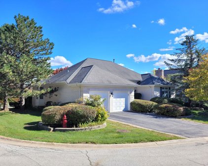 1119 S Hiddenbrook Trail, Palatine
