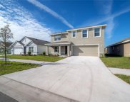 11923 Downy Birch Drive, Riverview image