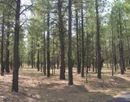 4206 Timberline, Happy Jack image